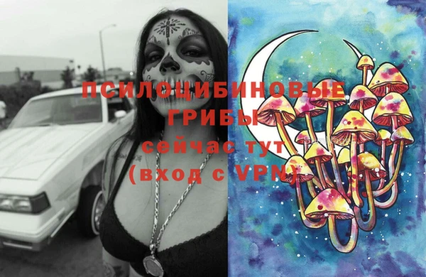 дурь Покачи