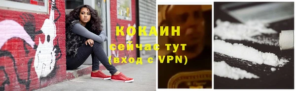 дурь Покачи