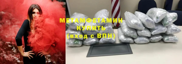сатива Пересвет