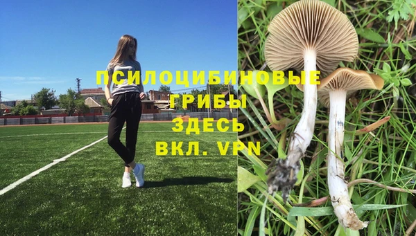 хмурый Переславль-Залесский