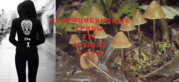 прущие крисы Абинск