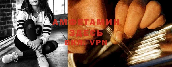 сатива Пересвет