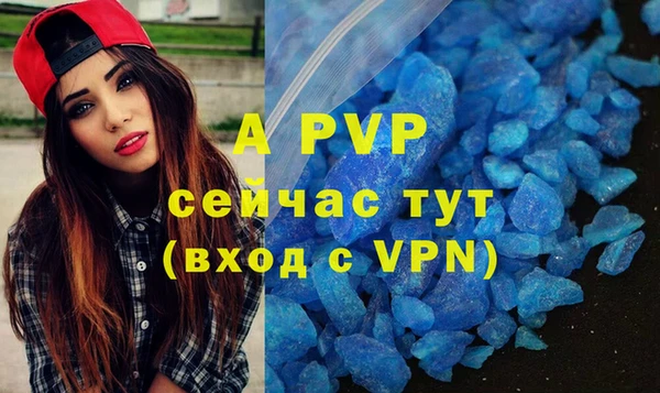 сатива Пересвет