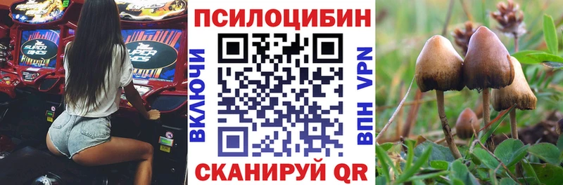 продажа наркотиков  Аксай  МЕГА вход  Псилоцибиновые грибы MAGIC MUSHROOMS 