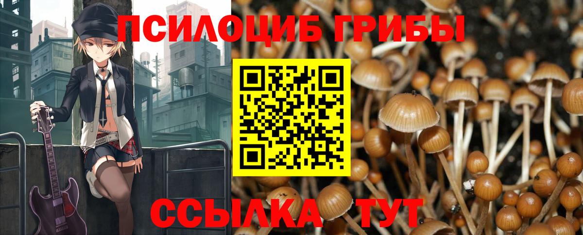 Галлюциногенные грибы Psilocybine cubensis  Вход с VPN  Аксай 